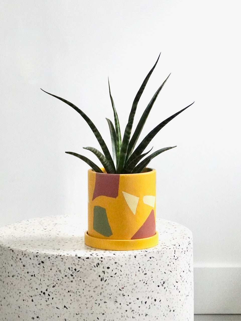 Surppot Handmade Planter, Small 4" (Multiple Colours)