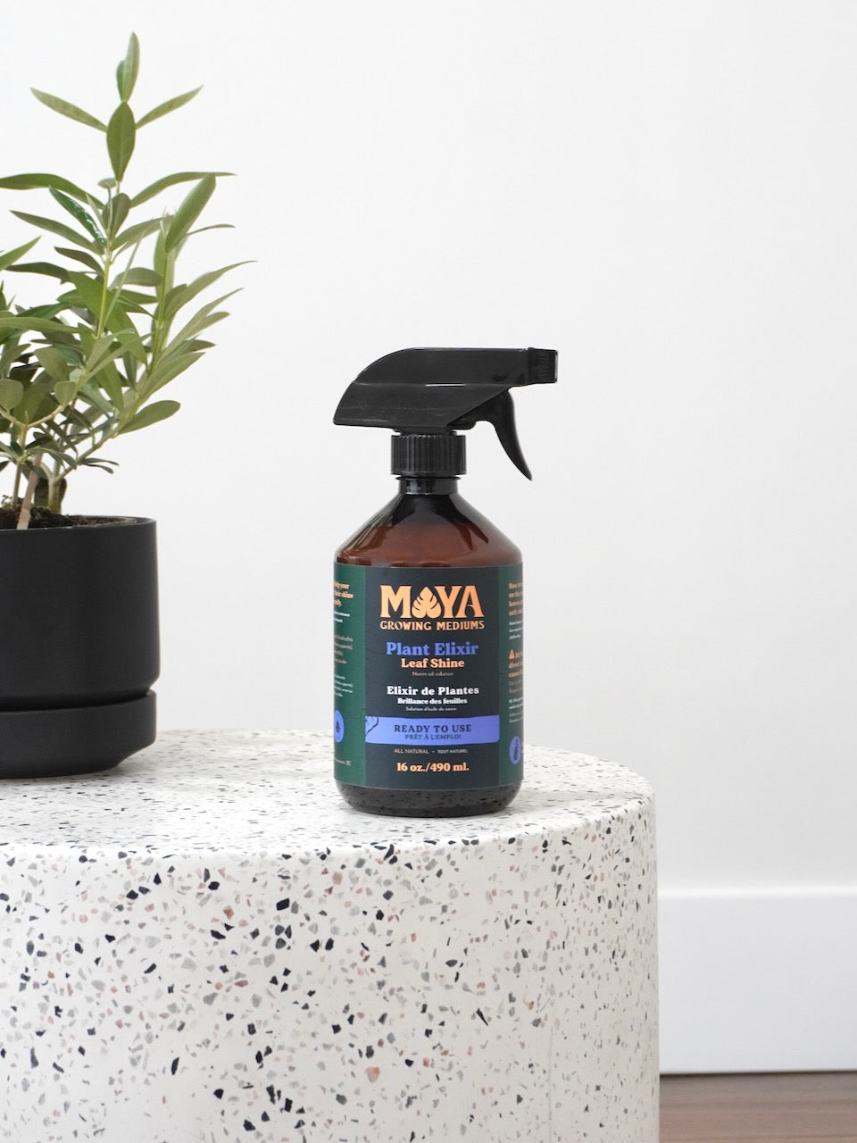 best neem oil spray for indoor plants Neem Oil Indoor Plant Spray | Vancouver Plant Store