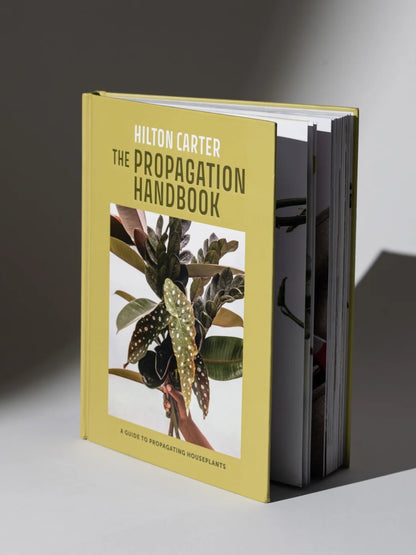 Propagation Handbook by Hilton Carter