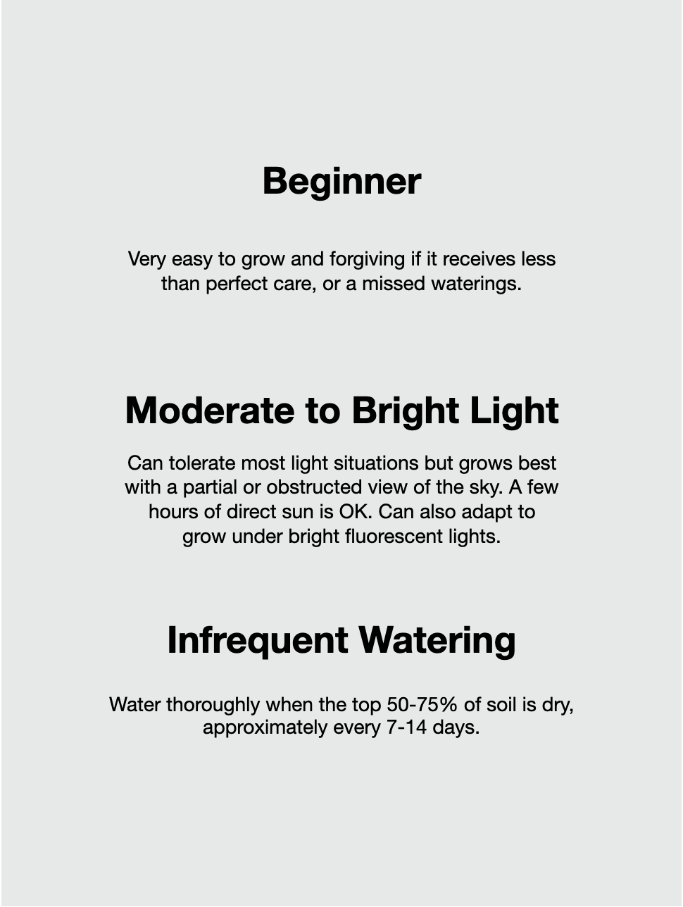 Cash the Money Tree, XL