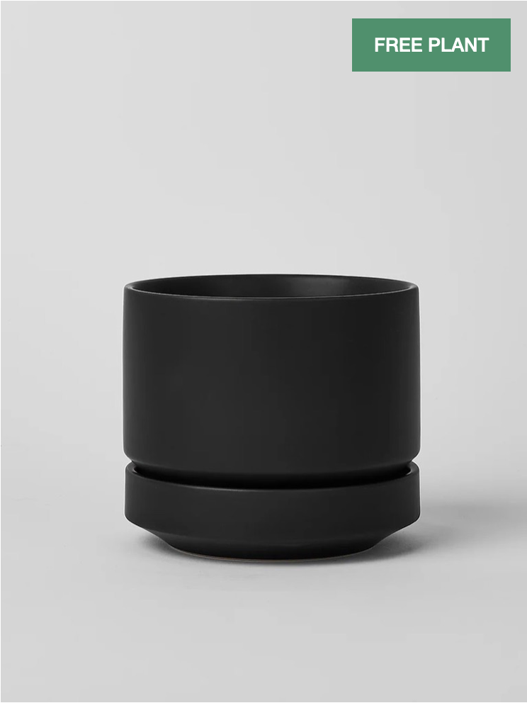Round Two Ceramic Pot, Small (Multiple Colours)