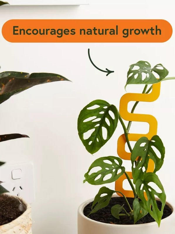 Houseplant Grow Pole