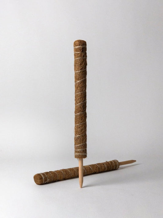 Kanso Coir Plant Support, Small