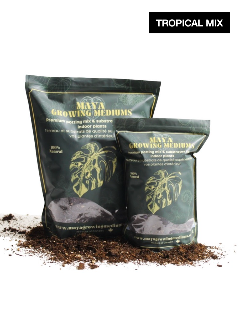 Houseplant Soil Mix Vancouver Plant Delivery Frondly Plants