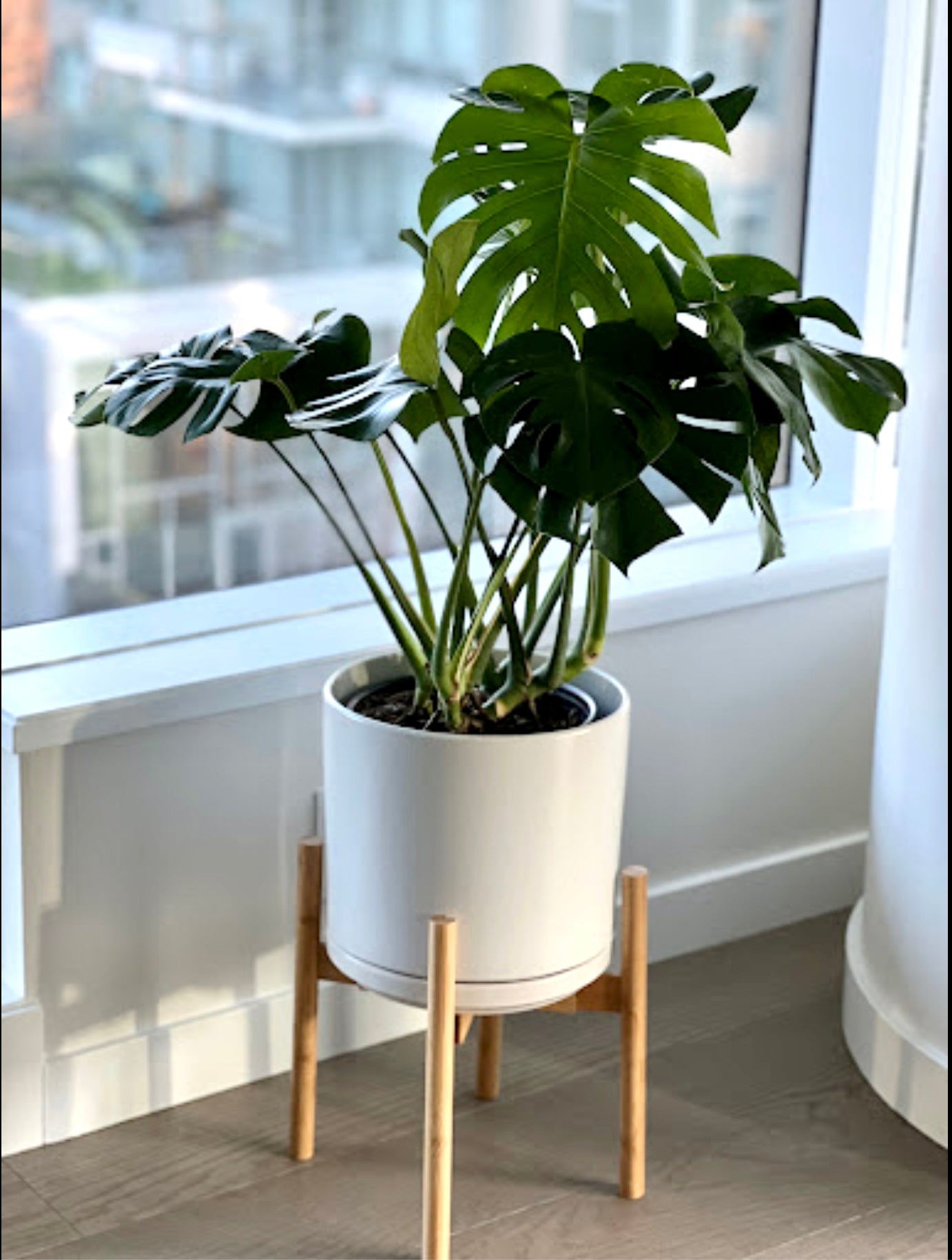 Tobago Ceramic Pot, XL 11" (Multiple Colours)