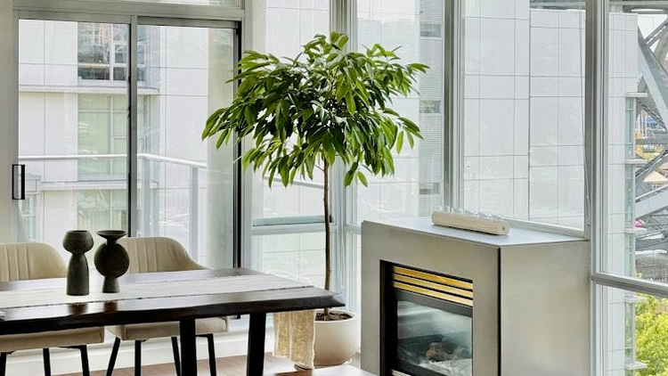 Floor Plants