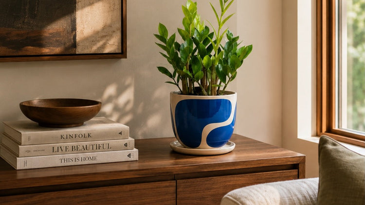 Plant Pots & Stands