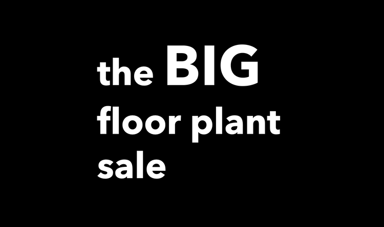 Floor Plant Sale