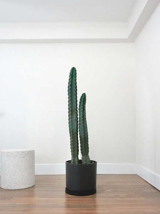 Ted the Cuddly Cactus, XL