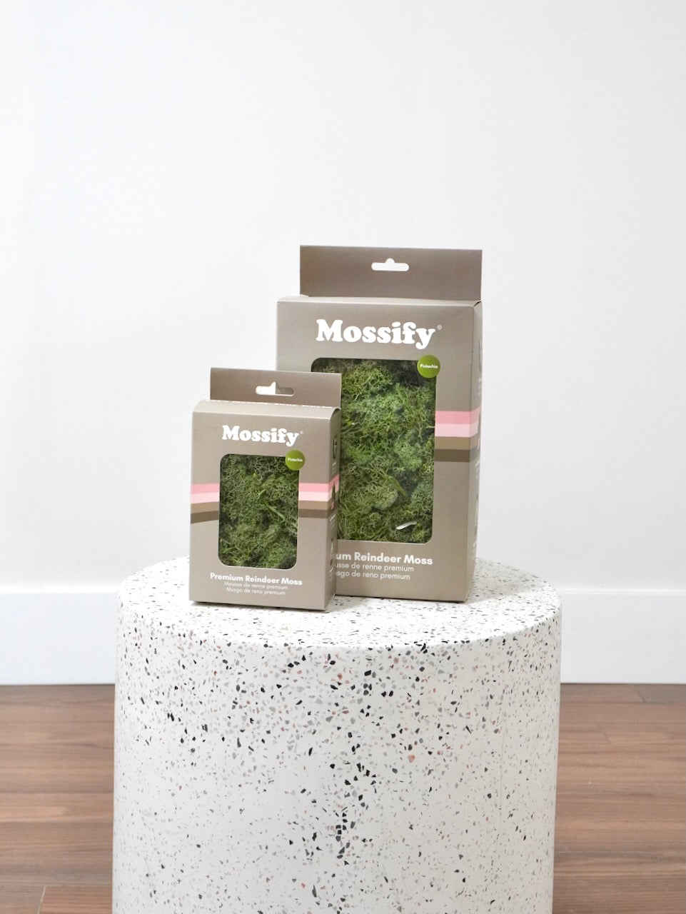 Mossify Premium Reindeer Moss