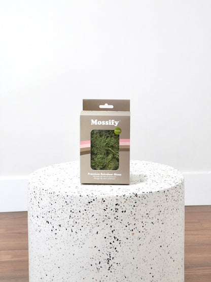 Mossify Premium Reindeer Moss