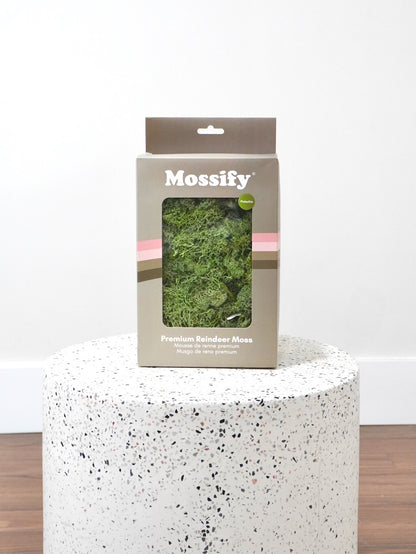 Mossify Premium Reindeer Moss