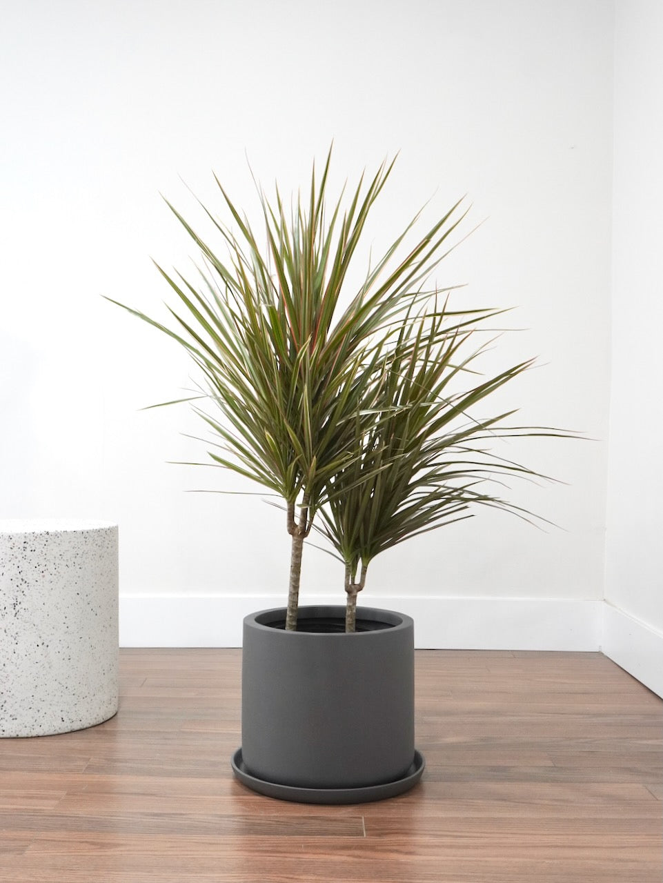 Kits Fibreglass Pot with Saucer, XL 10" (Multiple Colours)