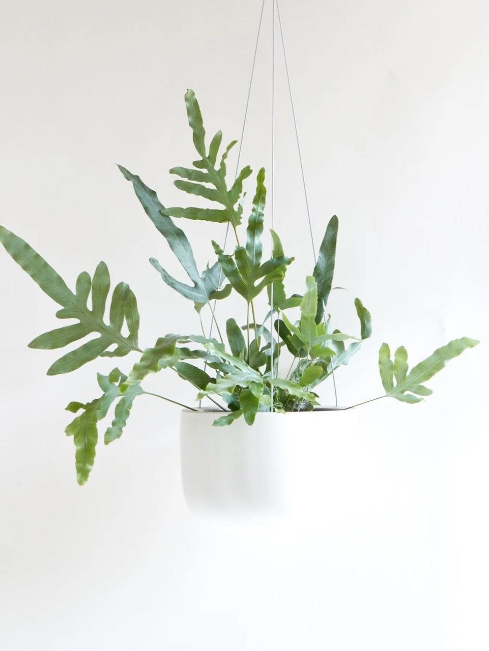 Hudson & Oak Hanging Ceramic Pot, Medium 8"