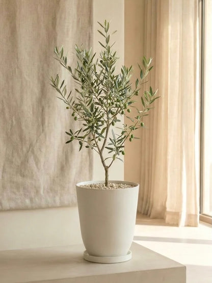 Kanso Sabi Recycled Tall Pot, XXL 19” (Multiple Colours)