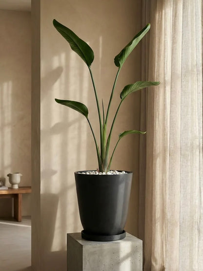 Kanso Sabi Recycled Tall Pot, XXL 19” (Multiple Colours)