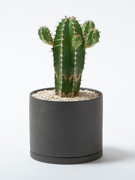 Kinto '191' Ceramic Plant Pot, Medium