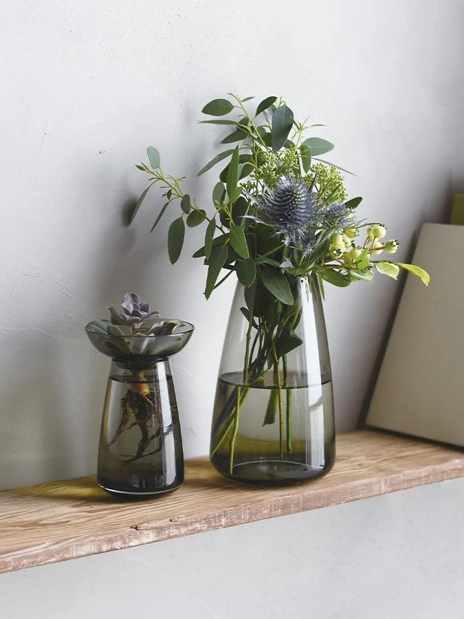 Kinto Aqua Culture Propagation Vase (Multiple Sizes)