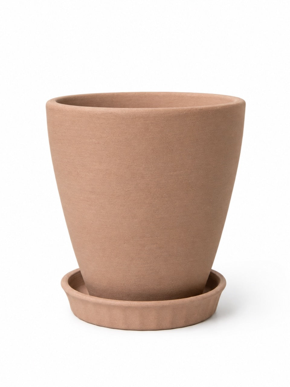 Berry Terracotta Pot, Medium 6" (Multiple Colours)