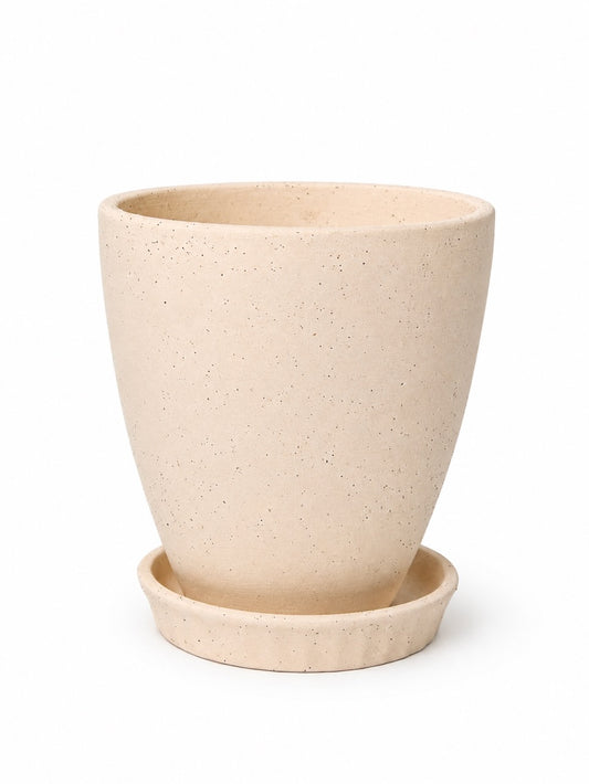 Berry Terracotta Pot, Medium 6" (Multiple Colours)