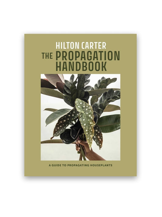 Propagation Handbook by Hilton Carter