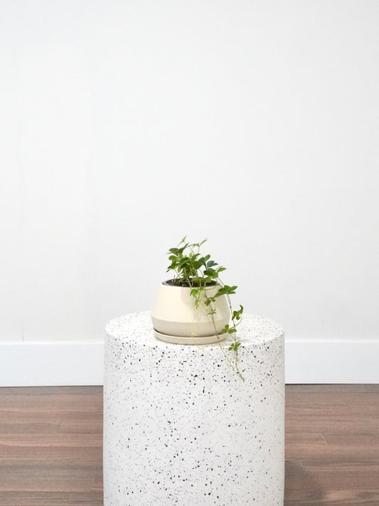 Candy the Sugar Vine, Small