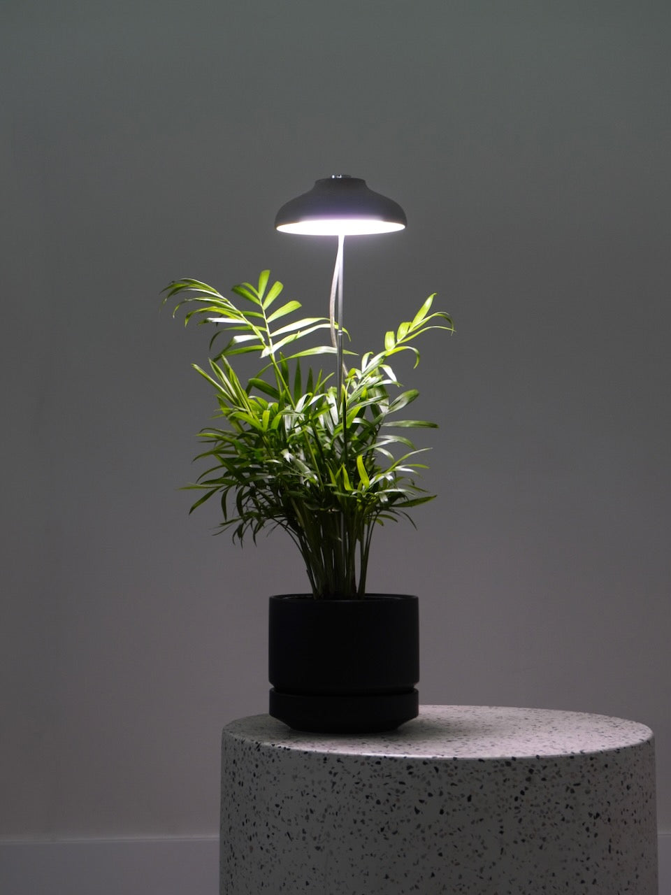 LED Grow Lamp