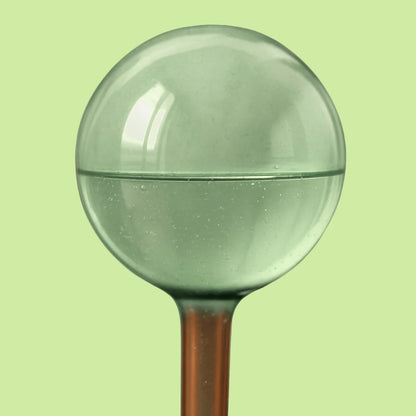 Self-Watering Plant Globe, Set of 2