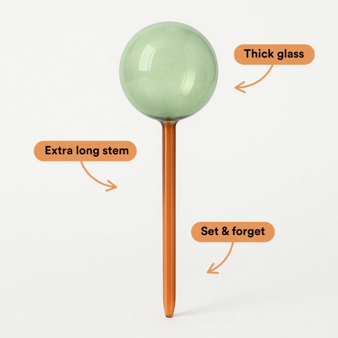 Self-Watering Plant Globe, Set of 2