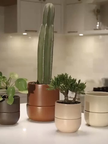 Fable Ceramic Pot, Small 5.5" (Multiple Colours)