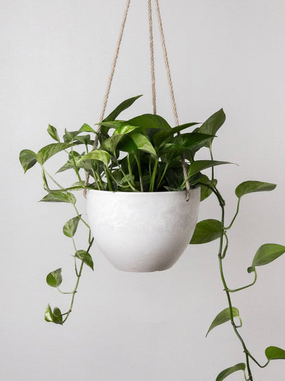 Kanso Recycled Hanging Pot, Medium 7" (Multiple Colours)