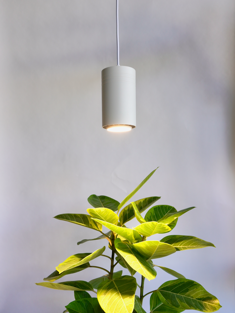 Soltech Aspect LED Grow Light | Vancouver Plant Store | Frondly Plants